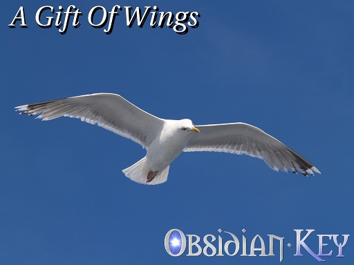A Gift Of Wings is one of the most beautiful Prog Rock atmospheric short instrumental song!